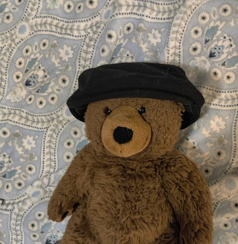 Stetson Newsboy wool blend hat adjustable ear warmer! Stretch Small/medium men's - Picture 7 of 7